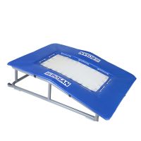 SPRINGTRAMP/PLANKOLINE BOSAN BALANCE