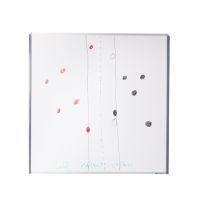 PUBLICATIEBORD 100 X 100 CM